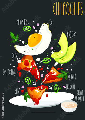 Mexican red sauce or salsa chilaquiles with cream cheese, onion, jalapenos, avocado served with egg. Vector illustration