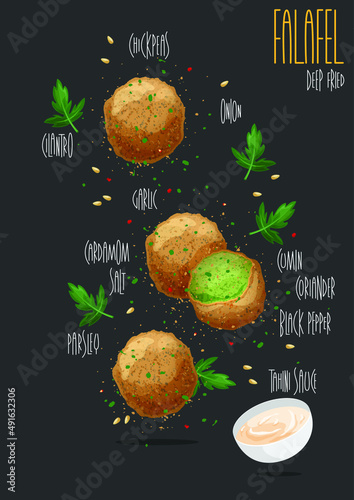 Falafel balls with parsley. Vector illustration