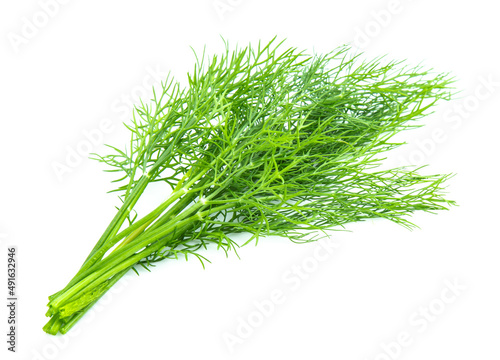 fresh dill green isolated on white background