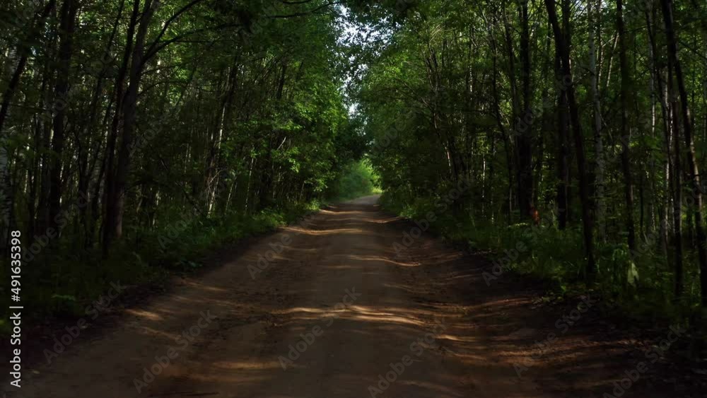 An empty road in the forest An empty road in the forest