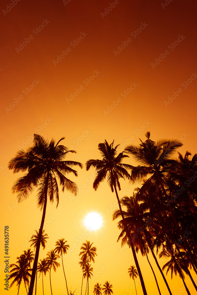 Tropical coconut palm trees silhouettes on beach at warm vivid sunset