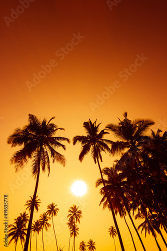 Tropical coconut palm trees silhouettes on beach at warm vivid sunset © nevodka.com