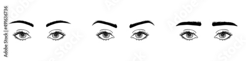 A set of eyes with different brow shapes.