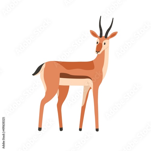 African antelope, savanna habitant. Gazelle, wild graceful animal with horns. Herbivorous mammal. Exotic fauna. Savannah inhabitant. Flat vector illustration isolated on white background photo