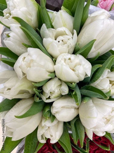 Bouquets of white tulip flowers