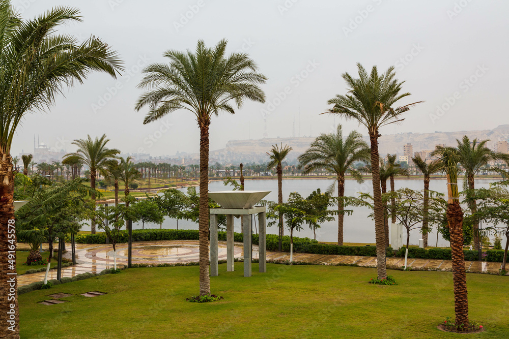 Panorama of rainy and foggy city with buildings, a mosque Nile and palm trees. Cairo, Egypt