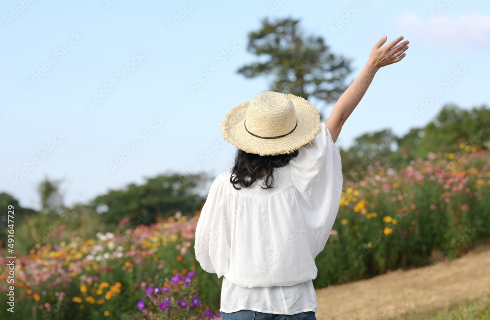 A female tourist stands with her right hand raised in the sky as she gazes at the flowery garden of Straw flower, Everlasting. A woman wearing a wide-brimmed straw hat. Jeans and a white long-sleeved 