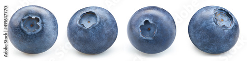 Print op canvas Blueberry on white. Blueberry clipping path.