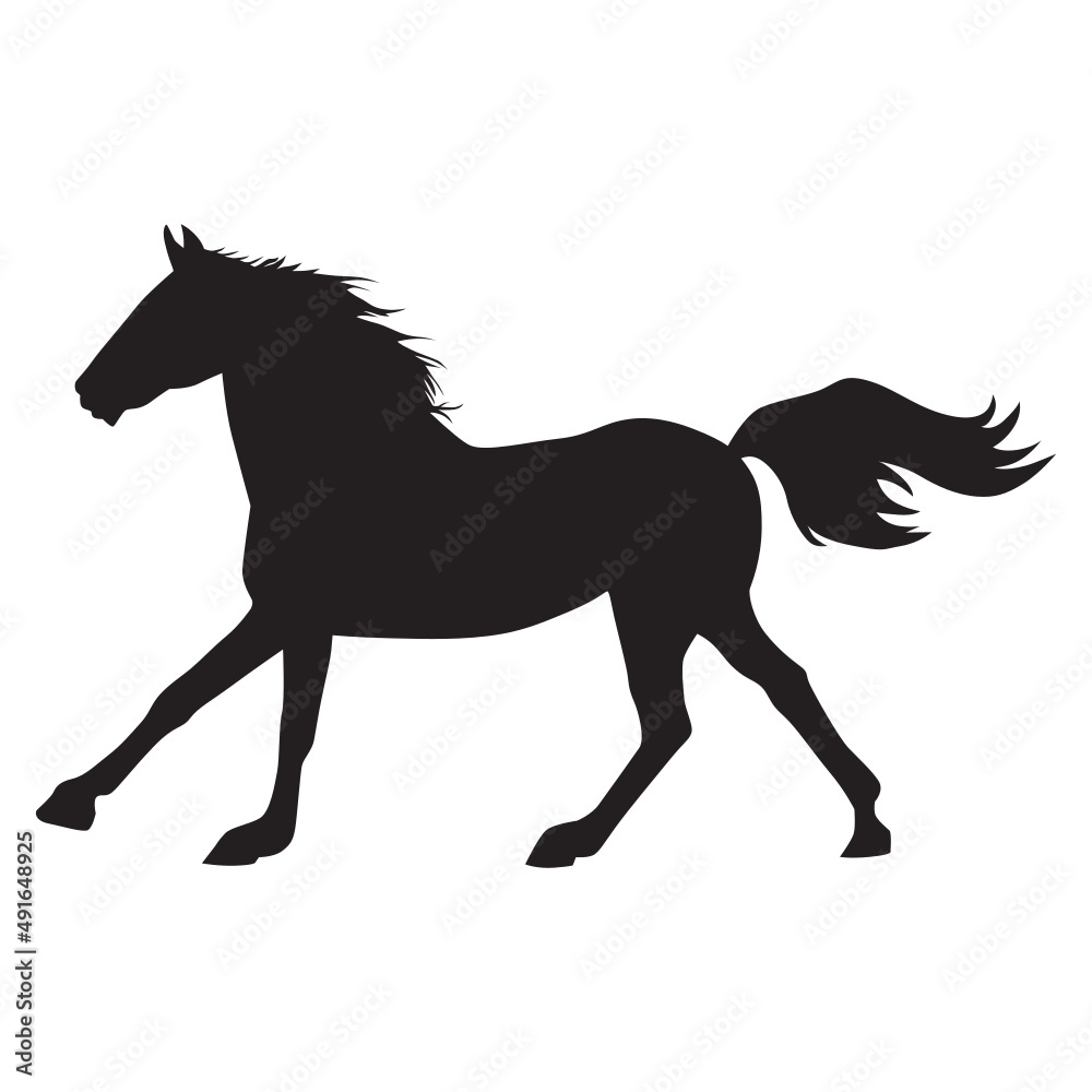 elegant horse image