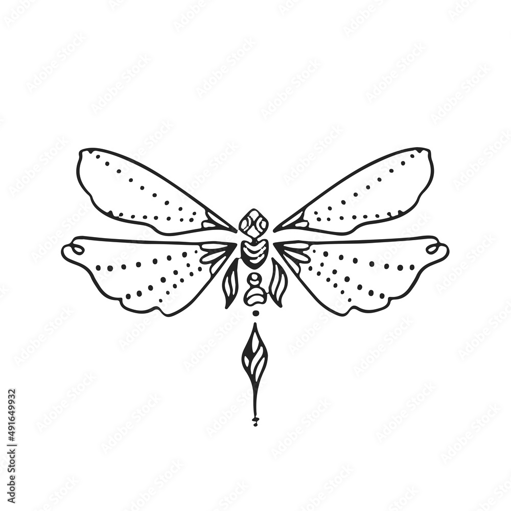 Thin linear butterfly monochrome illustration Thin linear butterfly monochrome illustration