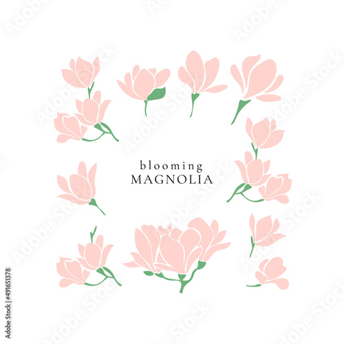 Set of spring blooming magnolia twigs.