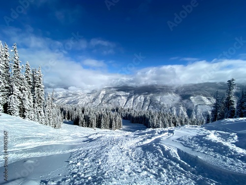 Ski Slope with a View Snow Mountain Trees Aspen Colorado