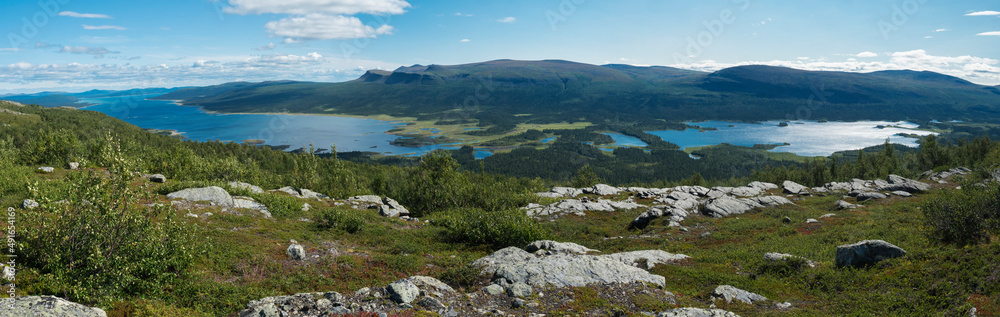 Panoramic view on meandering Rapadalen river delta to Lajtavrre lake, valley in Sarek national park, Sweden Lapland. Nordic wild landscape with mountains, hill, rocks and birch trees. Summer sunny day