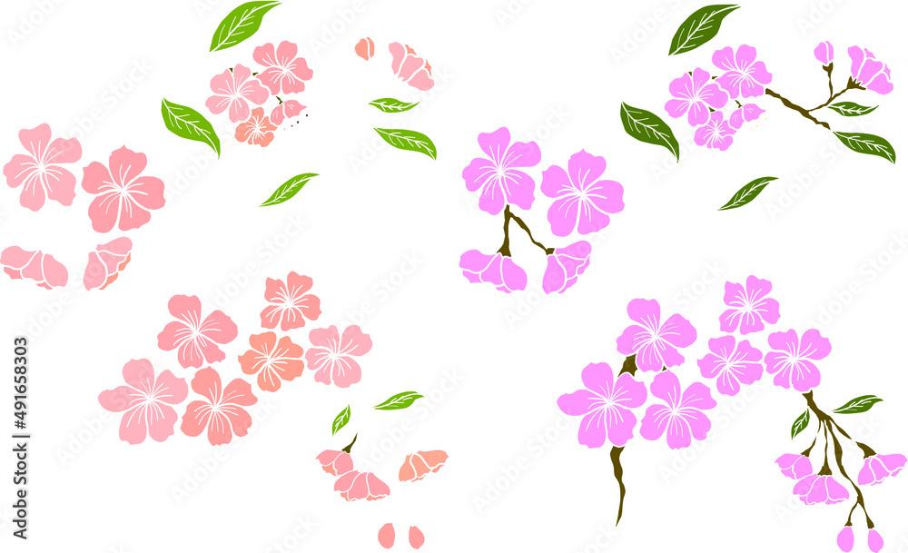 Branch of Cherry blossom on white.Vector illustration Sakura Flower,Nice Peach blossom isolated vector.Japanese floral.Nature background with blossom branch of sakura flower vector.Gold line apricot.