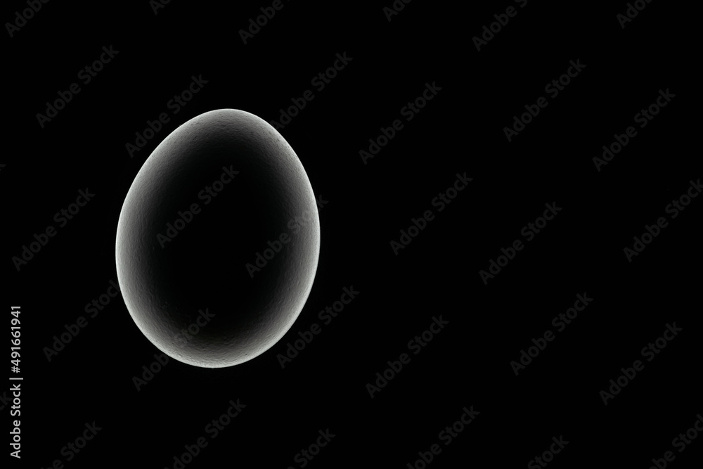 Silhouette of chicken egg on black background. Theme of birth of life. Concept. Copy space. Circular abstract object with path highlighting. Monochrome photography. Silhouette of chicken egg on black background. Theme of birth of life. Concept. Copy space. Circular abstract object with path highlighting. Monochrome photography.