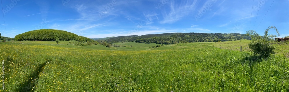 Landschaft Thüringer Wald im Sommer