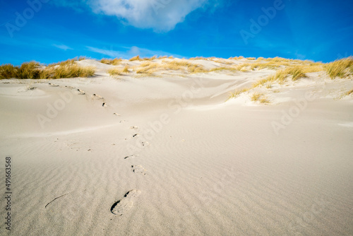 Bootprints coming down from the sand dune with yellow grass on top under bright blue sky. Sunny winter day on the island of Dune, Heligoland, Germany. Vacation in remote northern area without people. photo