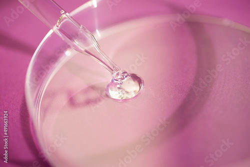 Dropper pipette with serum or cosmetic liquid and petri dish on pink background. Transparent container with liquid and bubbles. The appearance of the texture of the gel. Medicine and beauty concept.