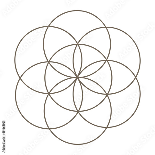 flower of life