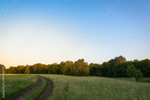 Landscape road over a green meadow with trees at sunset.