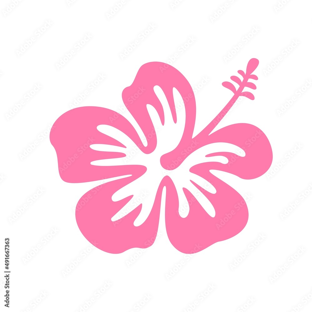 Vector illustration of tropical Hibiscus flower isolated on white