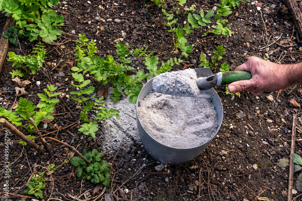 A hand picks up a trowel heaped with wood ash, rich in nutrients and