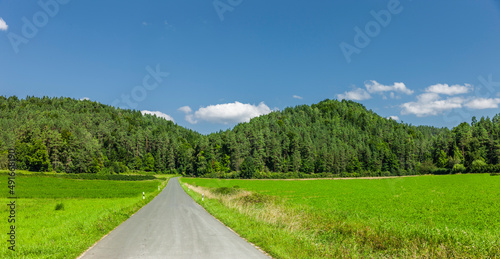 Landstraße durch Grüne Hügellandschaft
