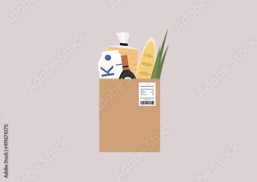Grocery store home delivery service, a brown paper bag full of vegetables, bread and dairy products, daily routine