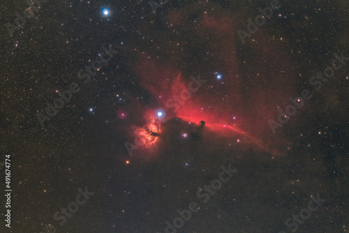 Tableau sur toile The Horsehead and Flame Nebula in the constellation Orion photographed from Mannheim in Germany