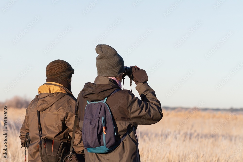 Two men on their backs observing birds in nature with binoculars. Two men on their backs observing birds in nature with binoculars.