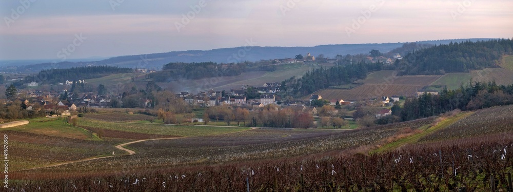 Panorama de vignobles en Bourgogne. Panorama de vignobles en Bourgogne.