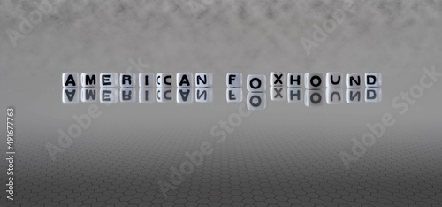 Billede på lærred american foxhound word or concept represented by black and white letter cubes on