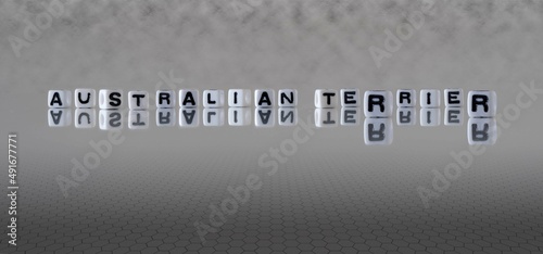 australian terrier word or concept represented by black and white letter cubes on a grey horizon background stretching to infinity