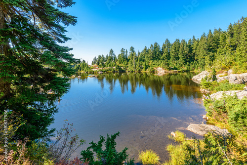 lake with rocks and forest in Vancouver  Canada  North America.