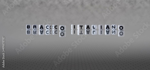 bracco italiano word or concept represented by black and white letter cubes on a grey horizon background stretching to infinity