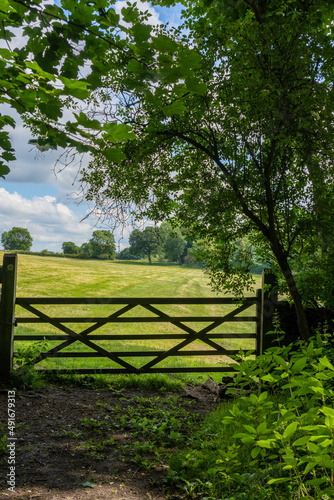 A closed wooden gate with overhanging trees leading to a tranquil Farmer s field on a summer day.