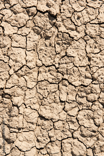 The drought land texture background. The global shortage of water on the planet.