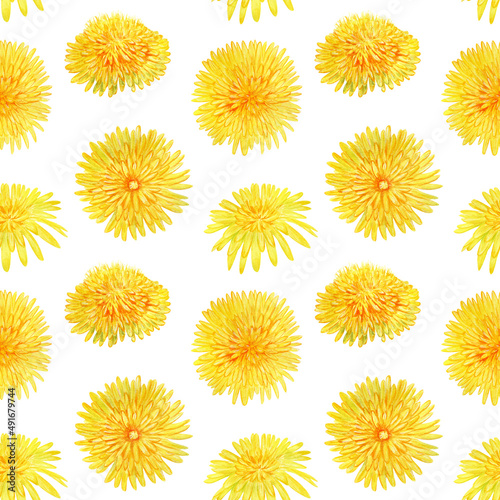 Watercolor seamless pattern with yellow flowers on white background. Dandelion floral ornament.