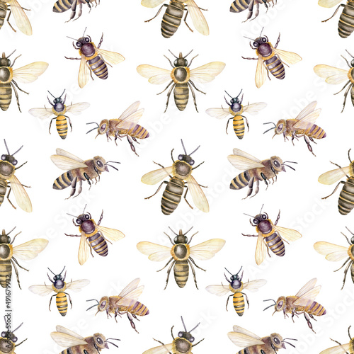 Watercolor seamless pattern with honey bees, ornament on white background. © Svetlana