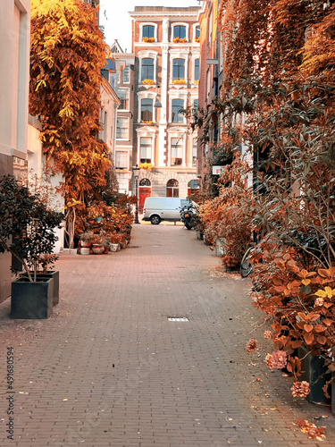 Alley in Amsterdam,Netherlands