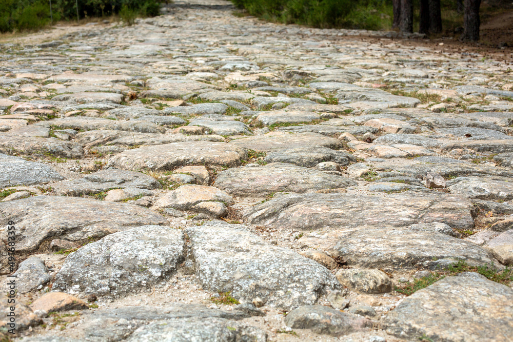 The background is in the form of a stone old road paved with large cobblestones.