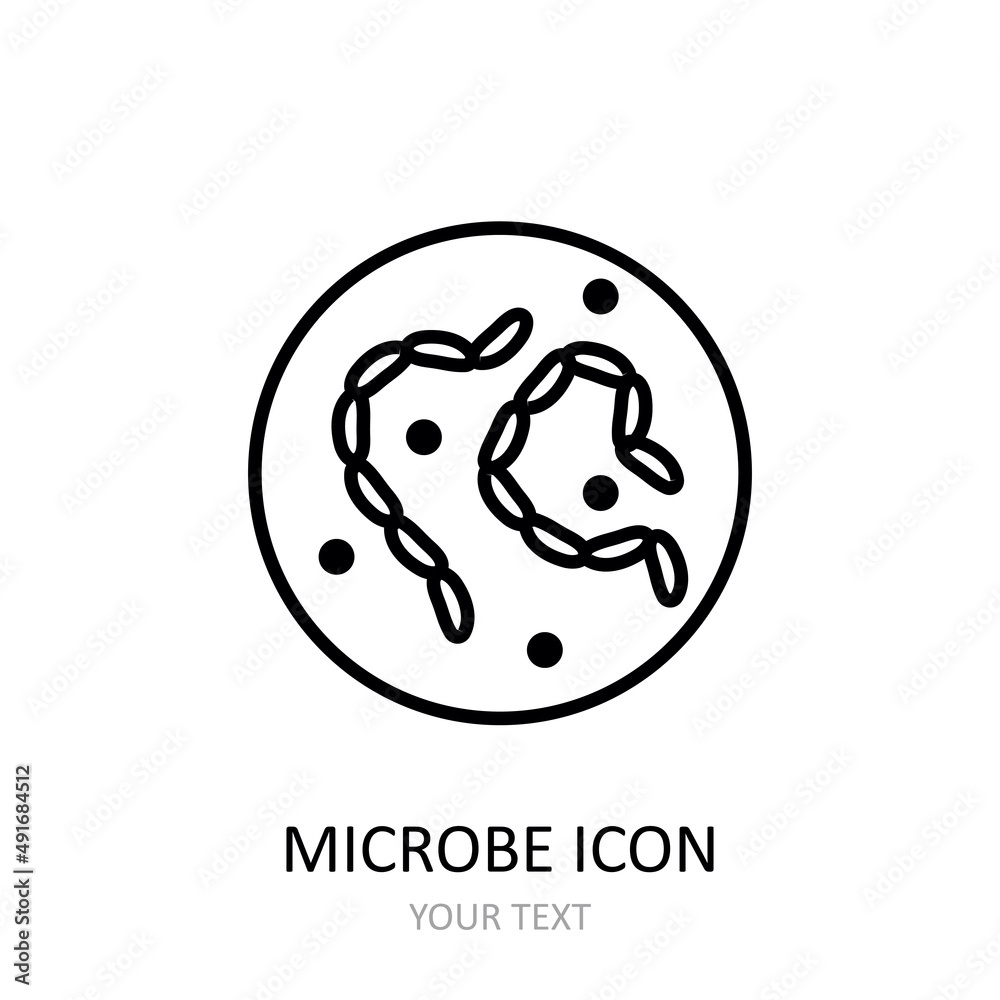 Outline vector icon with microbes under a microscope. Outline vector icon with microbes under a microscope.
