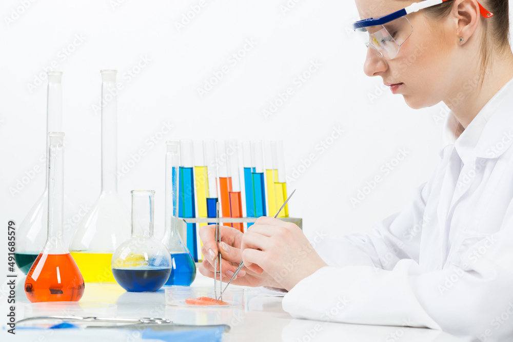 Microbiologist researching sample in petri dish. Microbiologist researching sample in petri dish.
