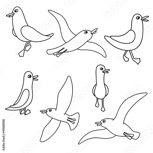 Cartoon atlantic seabird. Sea, Ocean, Gull, bird set in a vector flat style. Big oceangull pack. Outline collection with 7 birds. photo