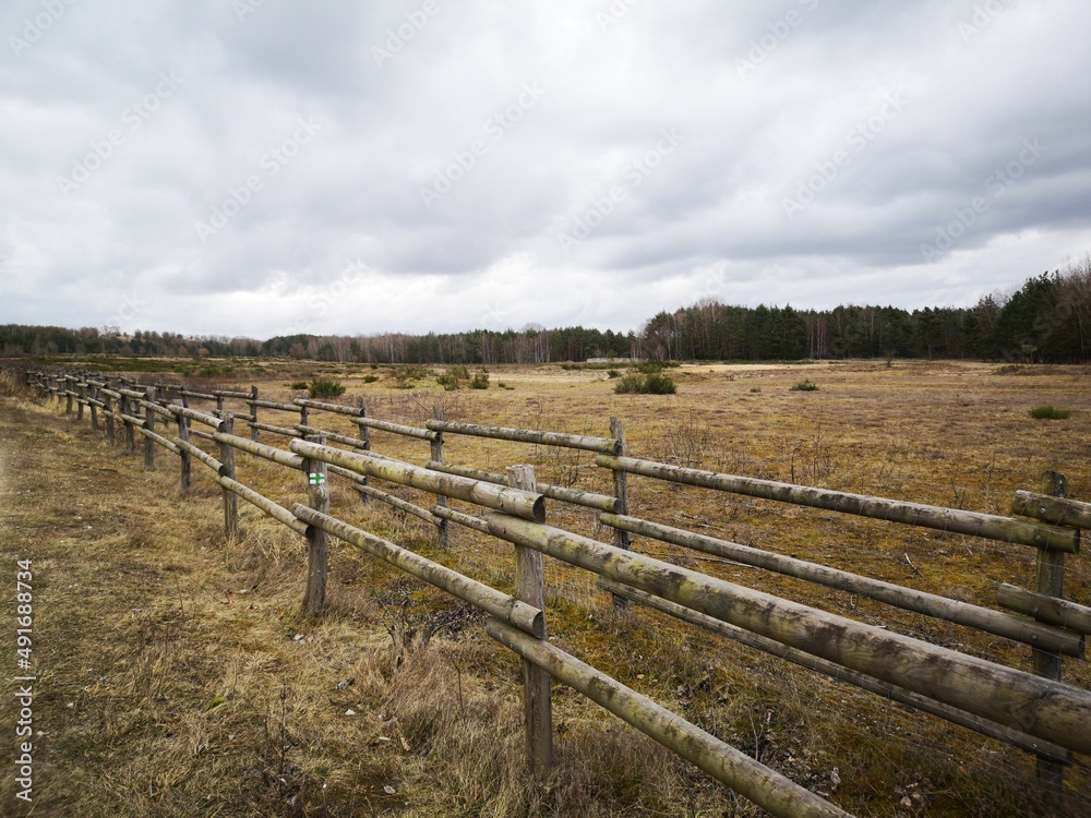 wooden fence in a meadow and landscape with trees