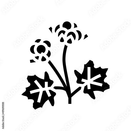 cloudberry berry glyph icon vector. cloudberry berry sign. isolated contour symbol black illustration
