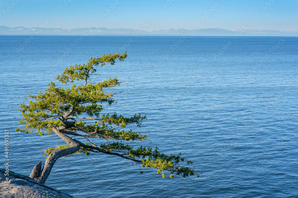 Juniper Point, Lighthouse Park Juniper Point, Lighthouse Park