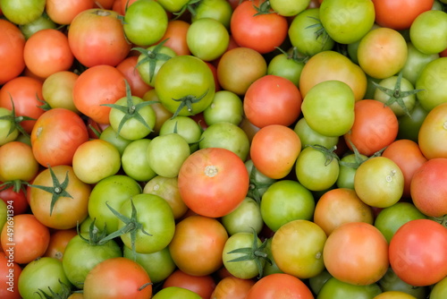 FU 2020-10-10 Feldtag 183 Rote und grüne Tomaten liegen auf einem Haufen