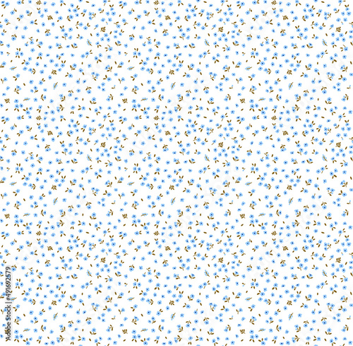 Floral pattern. Pretty flowers on white background. Printing with small blue flowers. Ditsy print. Seamless vector texture. Spring bouquet. Stock vector.