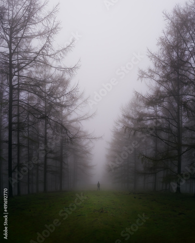 Hombre en bosque entre niebla photo